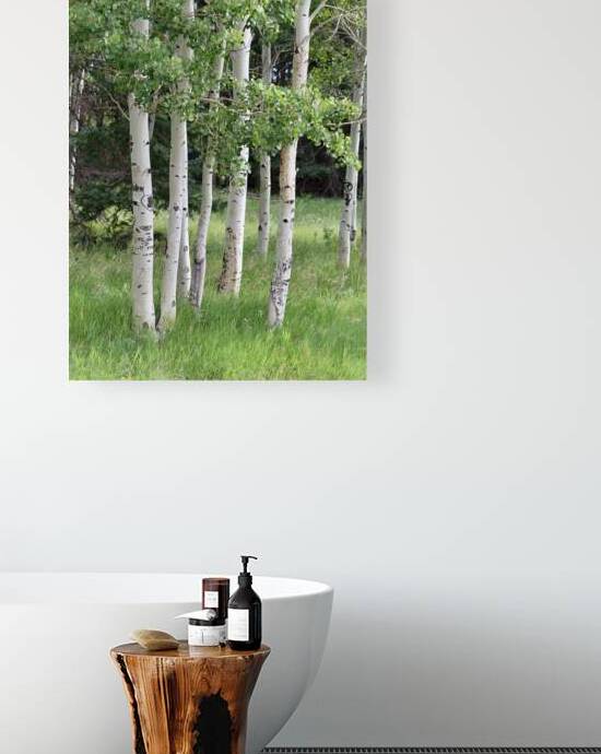 The Earth has music for those who listen. Aspens in Flagstaff by Leslie Affeldt Photography