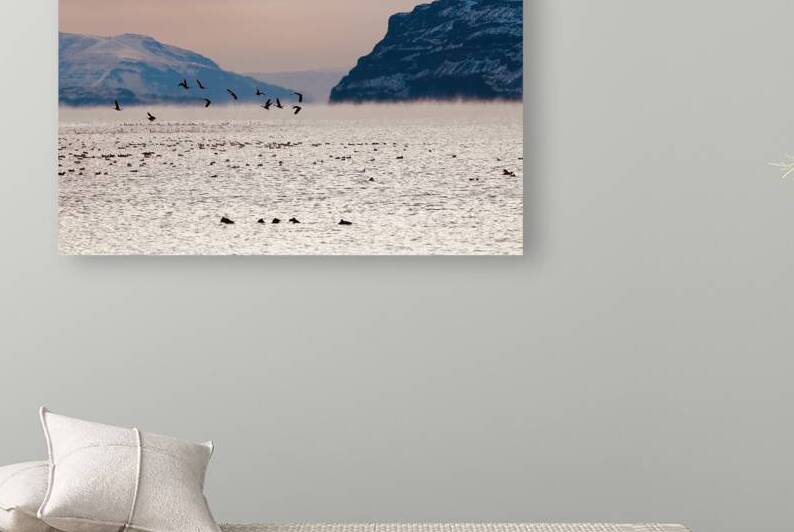 Beauty in the bitter cold - Columbia River 1 by Leslie Affeldt Photography