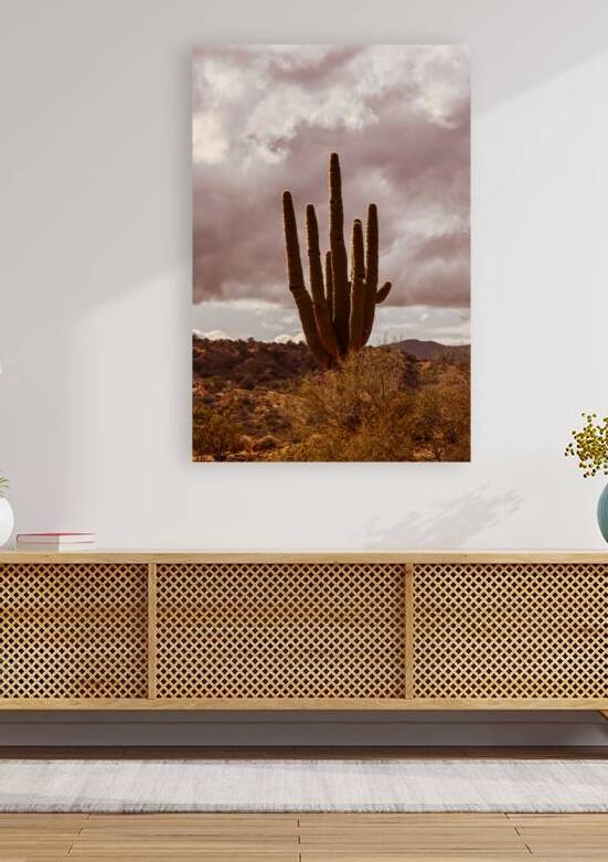 Sunlit Saguaro Reproduction
