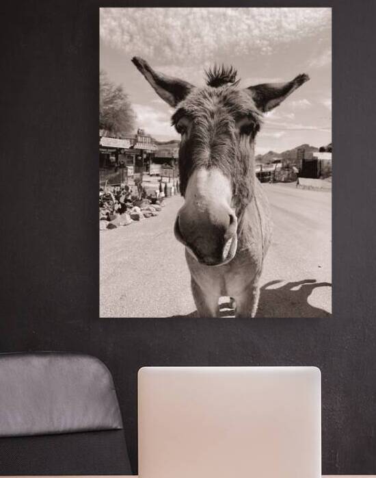Oatman Donkey - Sepia tone by Leslie Affeldt Photography