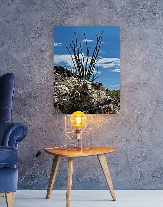 Quartz & Ocotillo    by Leslie Affeldt Photography