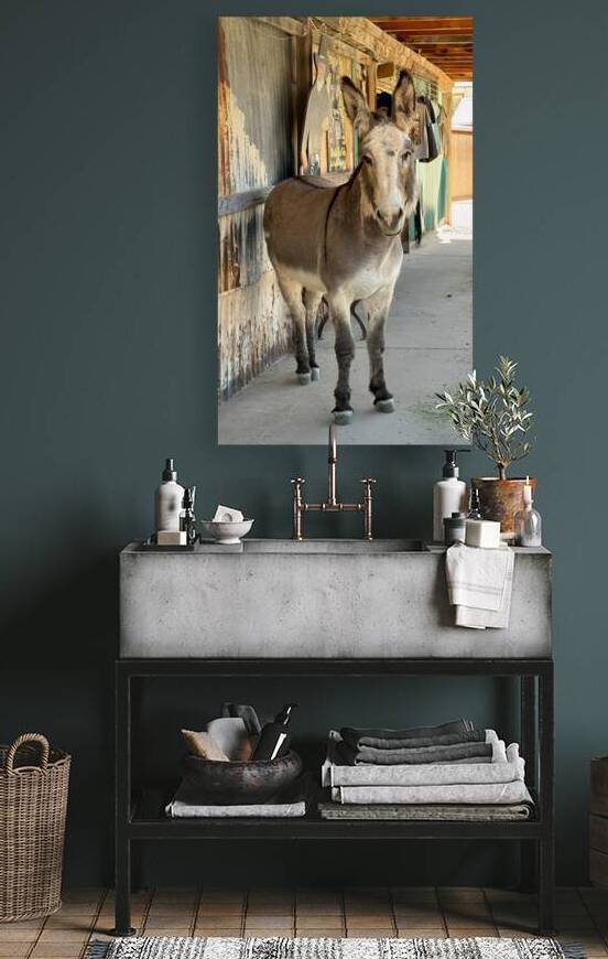 Oliver with “winter chops” by Leslie Affeldt Photography