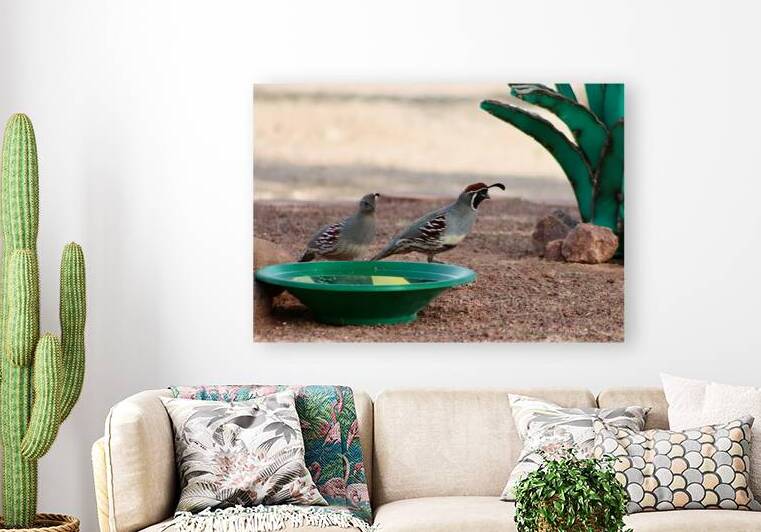Ye Old Watering Hole by Leslie Affeldt Photography