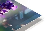 Lavender  HD Metal print