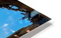 Nature’s Frame HD Metal print