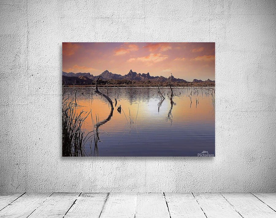 Catfish Paradise  Wall Preview