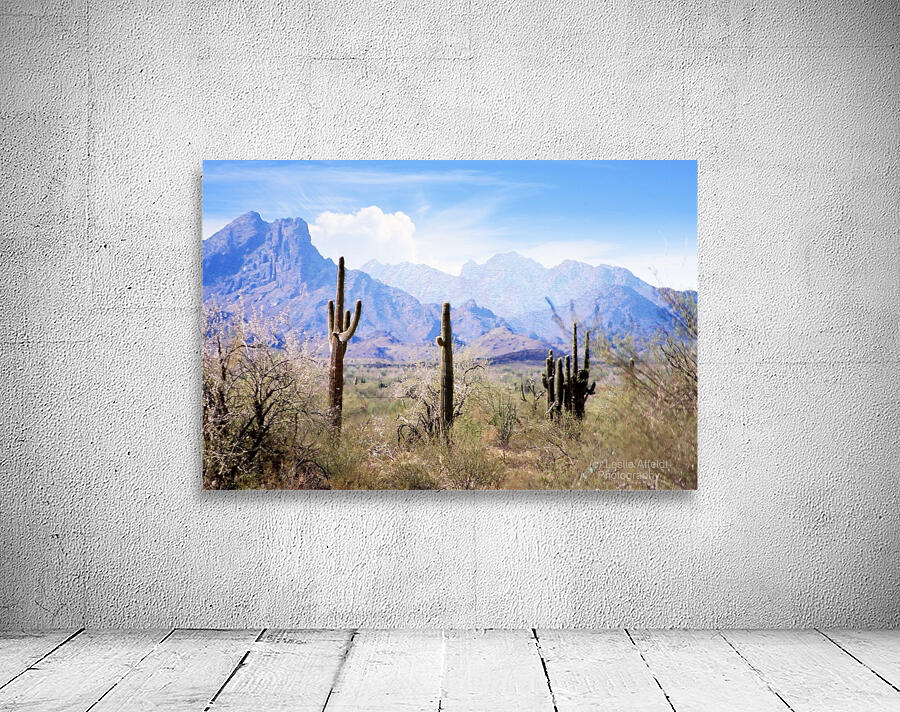 Blue Pastel Desert Wall Preview