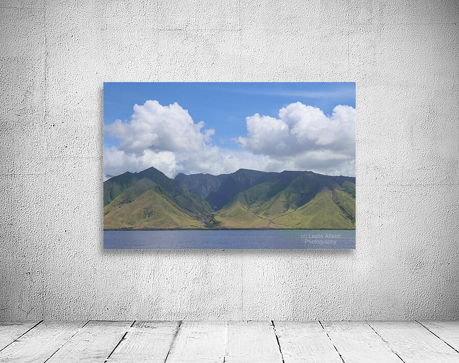 Maui Coast Wall Preview