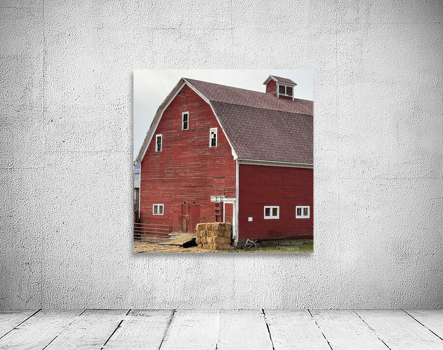 Americana Wall Preview