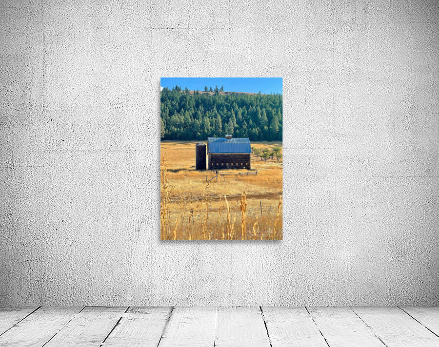 Dunford Barn 4 Wall Preview