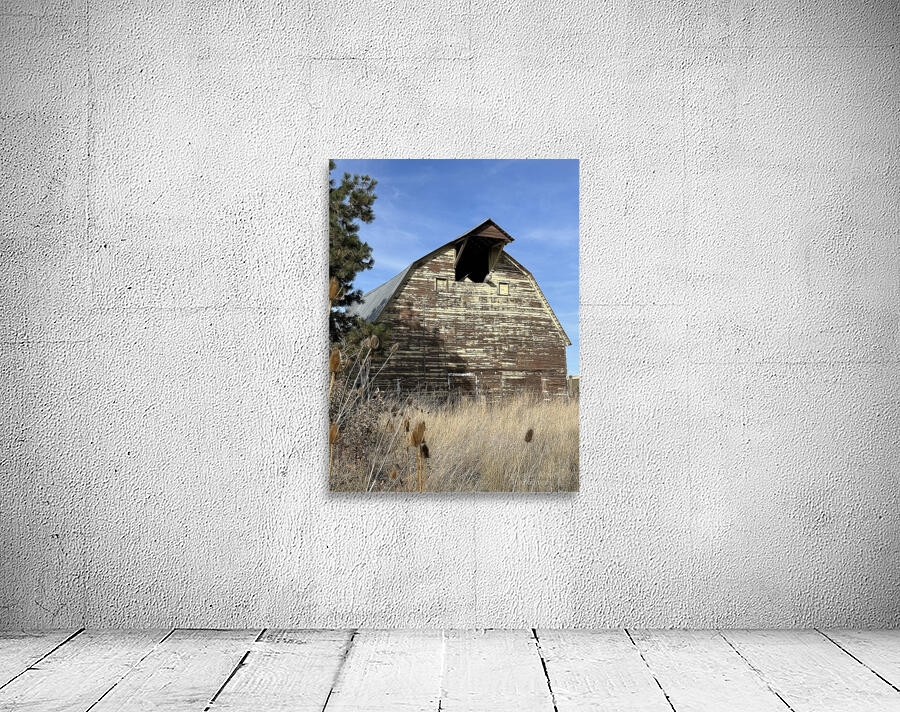 Colfax Barn 1 Wall Preview