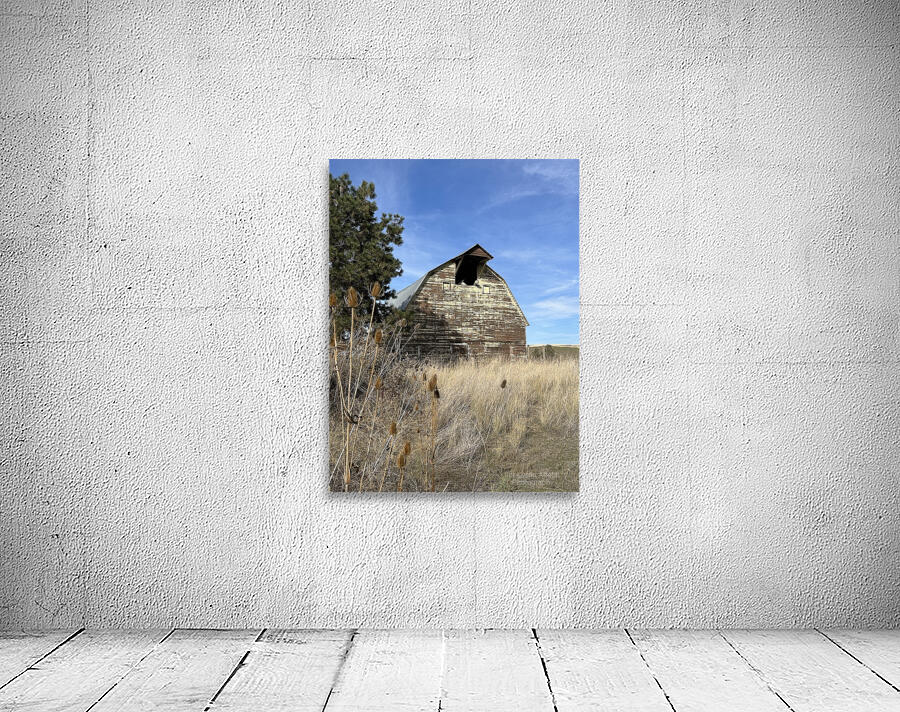 Colfax Barn 2 Wall Preview