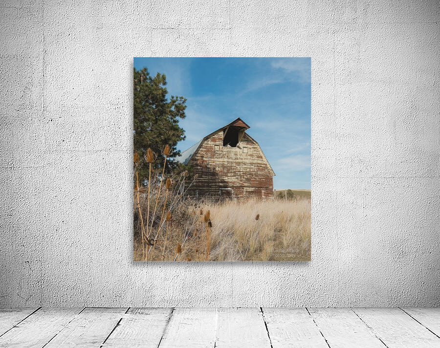 Colfax Barn 3 Wall Preview