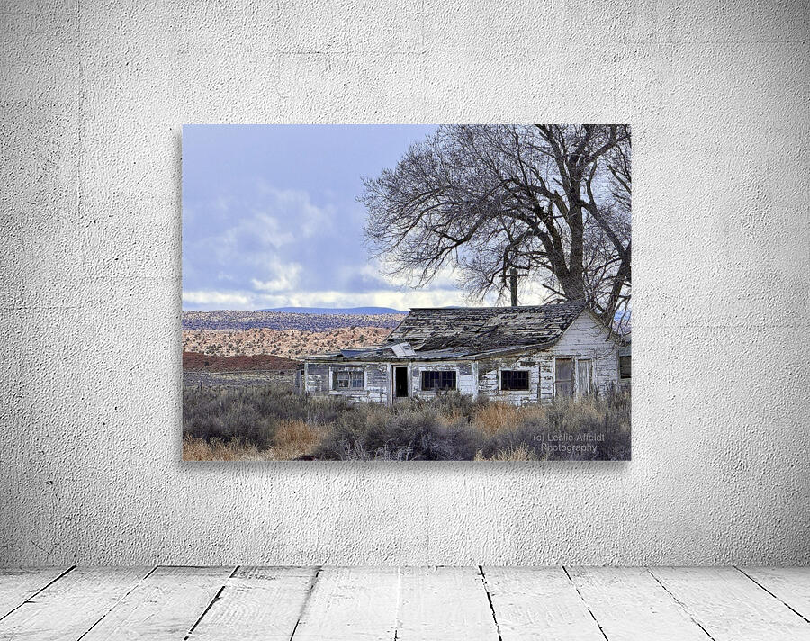 Farmhouse Decay - horizontal Wall Preview