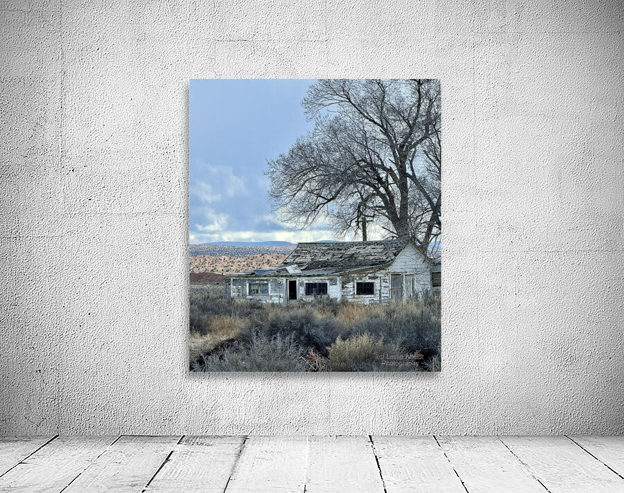 Farmhouse Decay - vertical Wall Preview