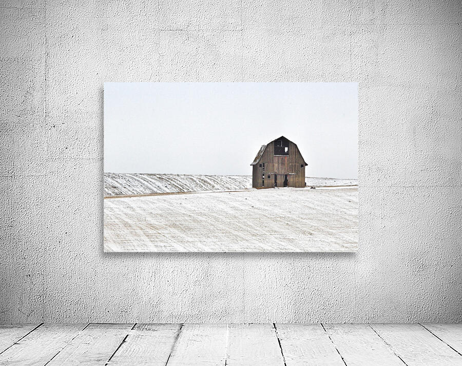 Standing Resolute 2 Wall Preview