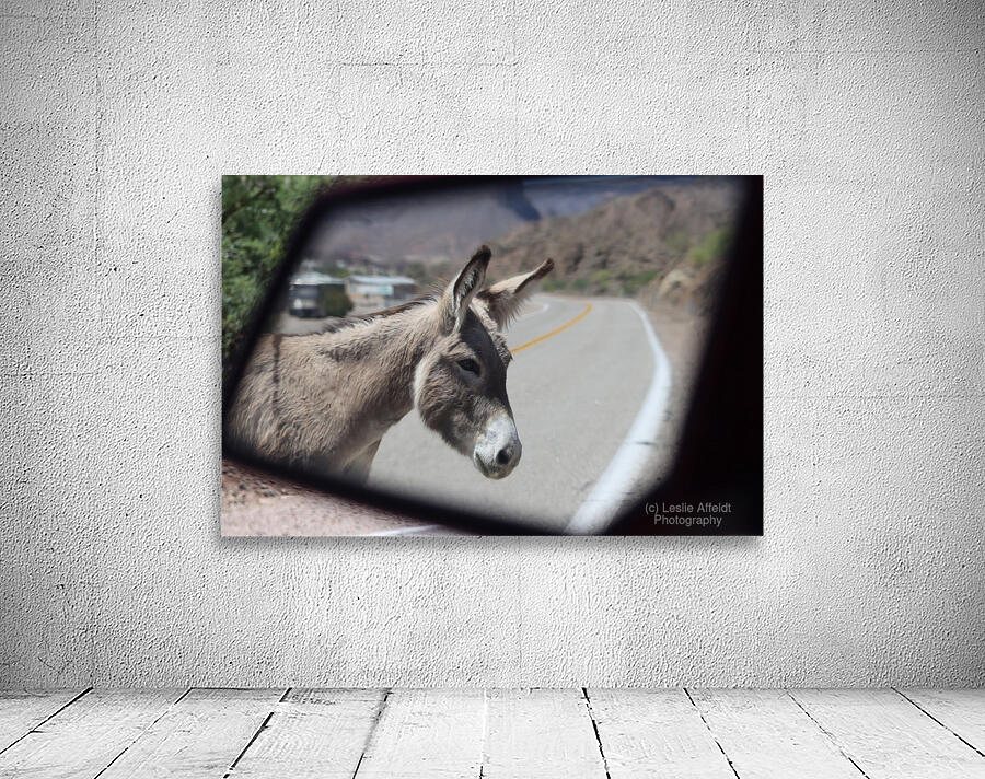 Donkeys in your mirror are closer than they appear Wall Preview