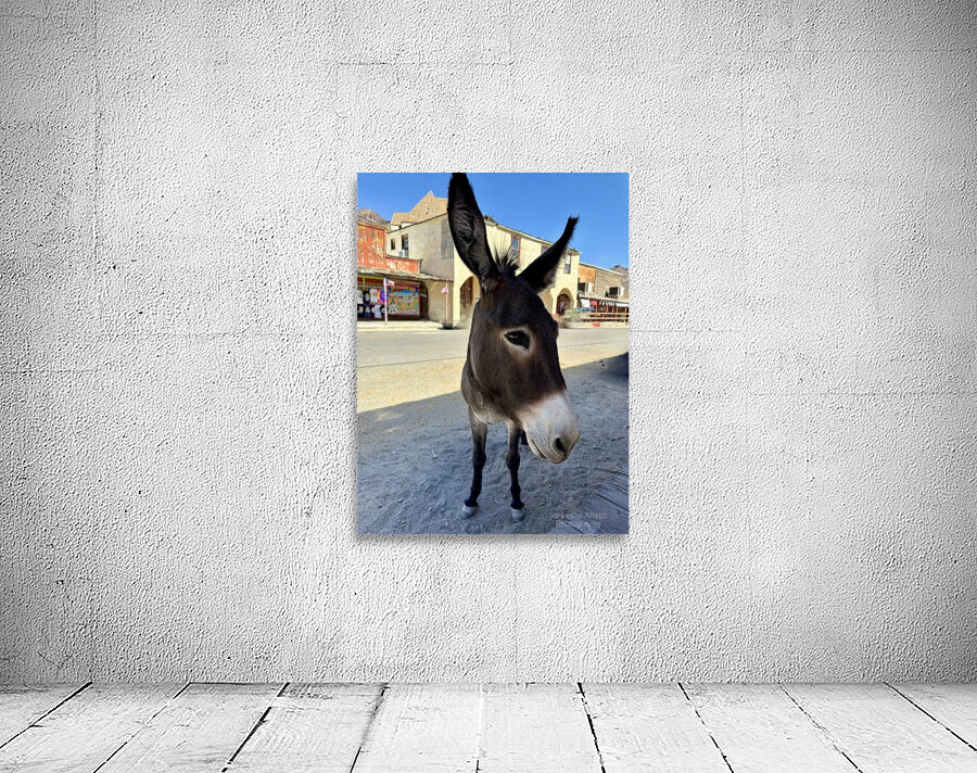 Oatman resident Wall Preview