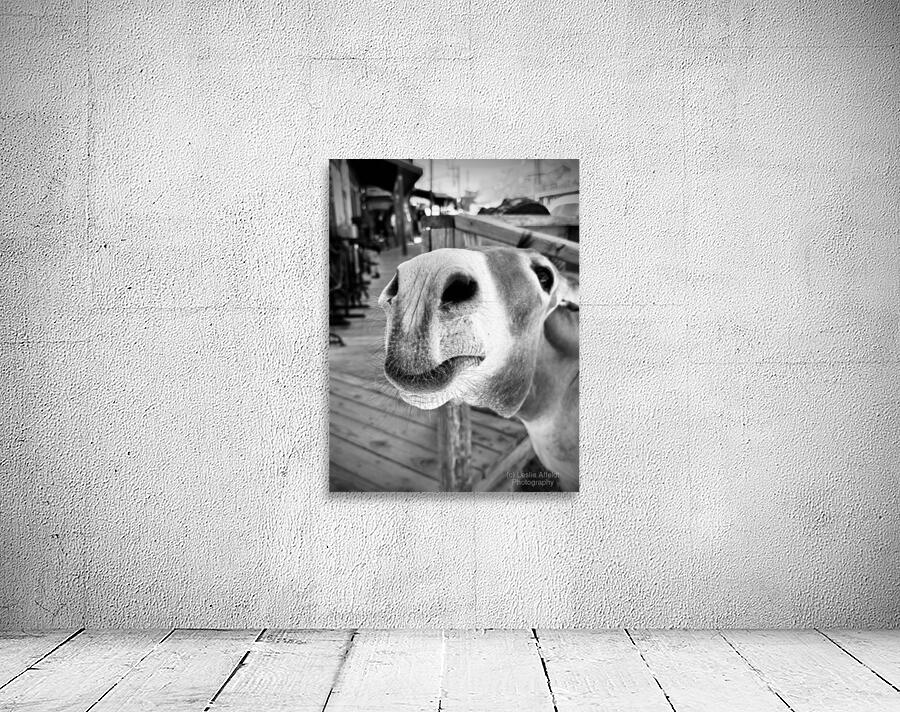 Give us a Kiss - black & white Wall Preview