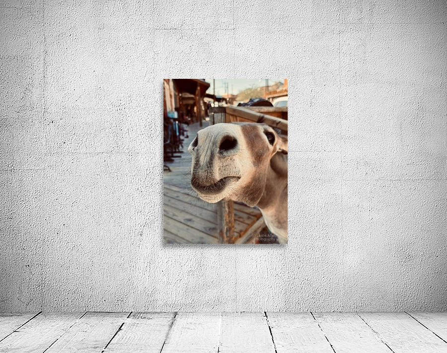 Give us a Kiss Wall Preview