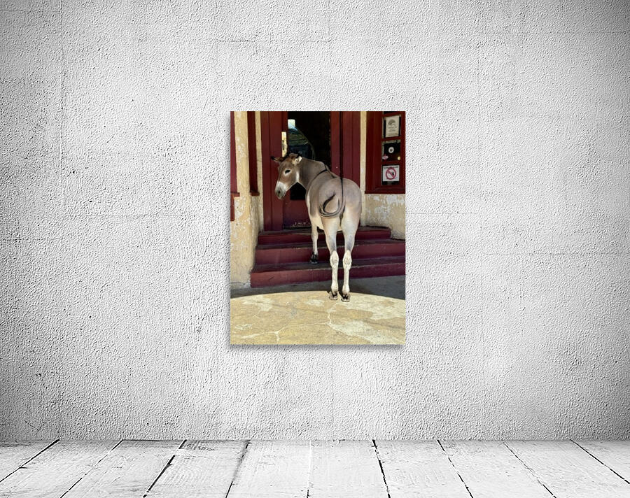 My eyes are up here  Wall Preview