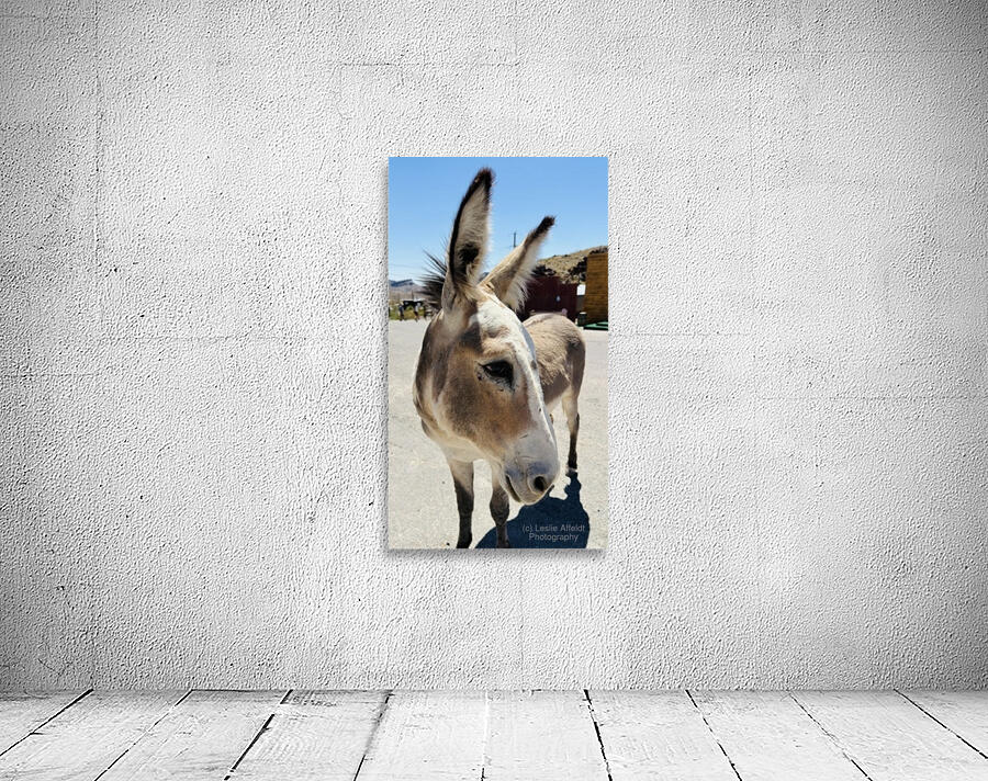 Oliver the Sheriff of Oatman -1 Wall Preview