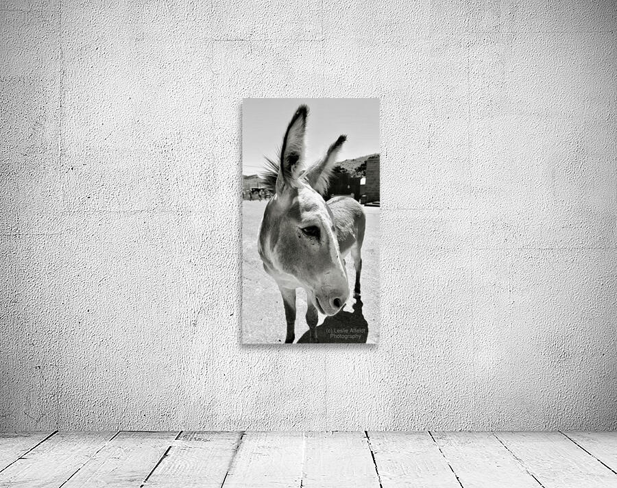 Oliver the Sheriff of Oatman - 2 Wall Preview