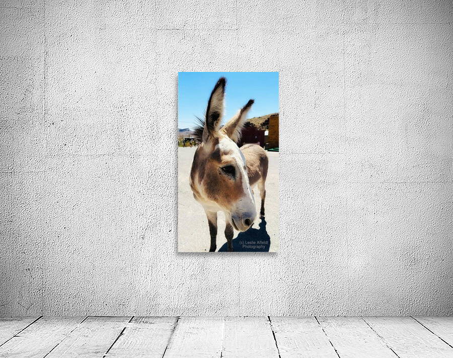 Oliver the Sheriff of Oatman -3 Wall Preview