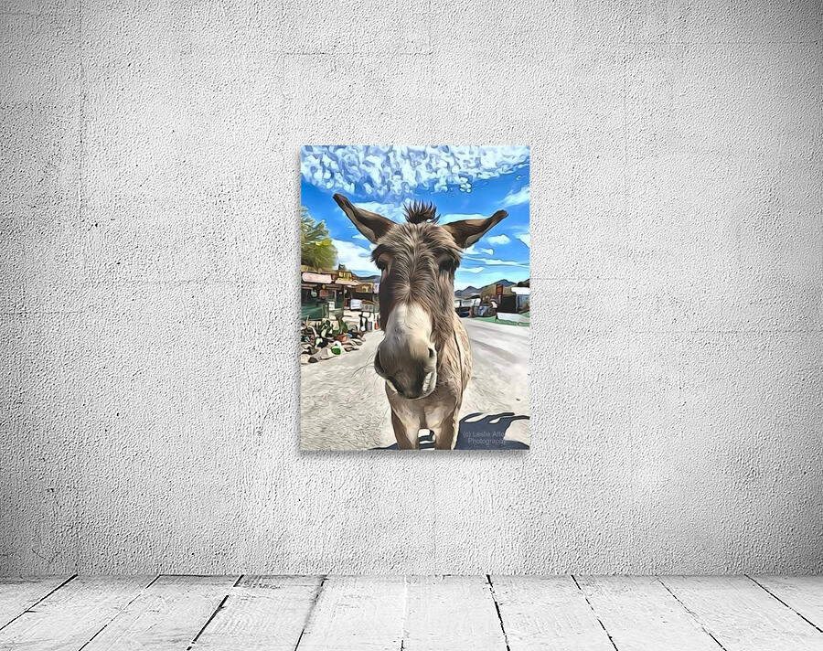 Oatman Donkey - abstract version Wall Preview