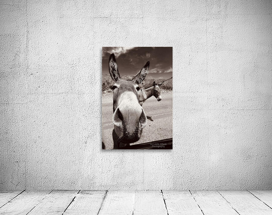 Welcome to Oatman Wall Preview