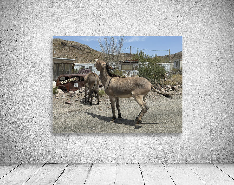 Street Party Wall Preview