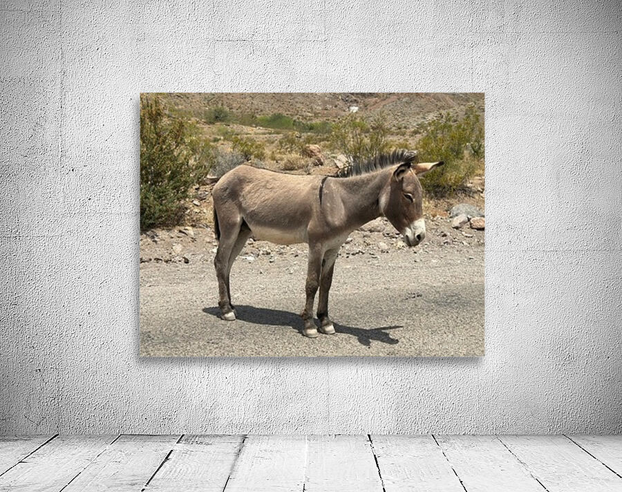 Heading to Oatman Wall Preview