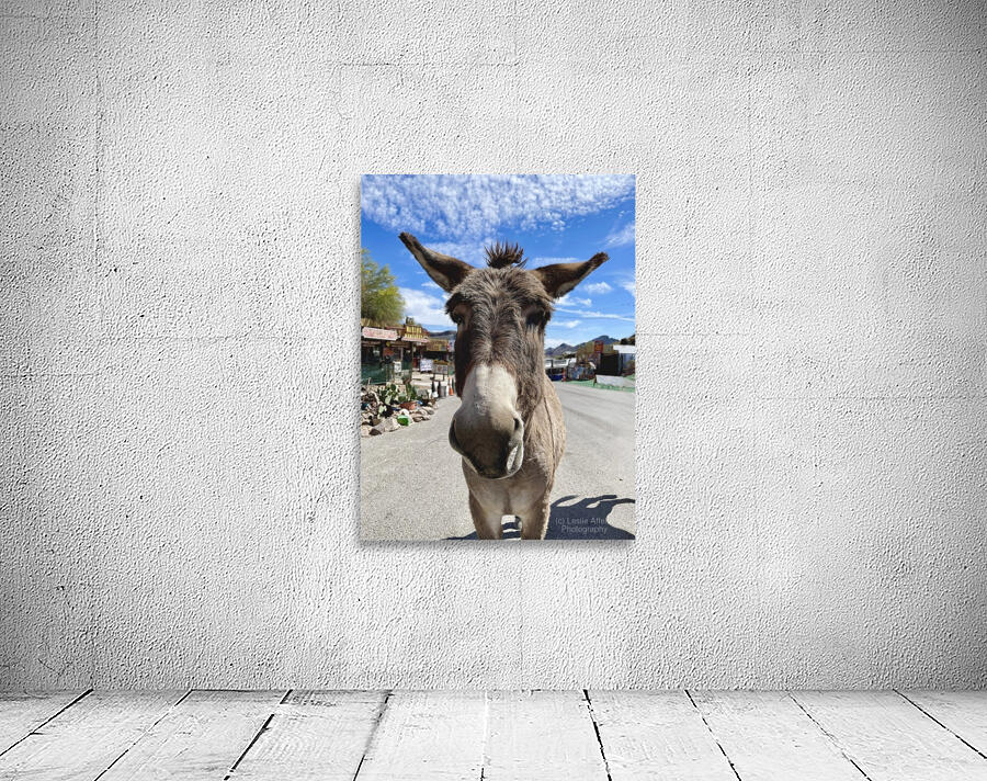 Oatman Donkey Wall Preview