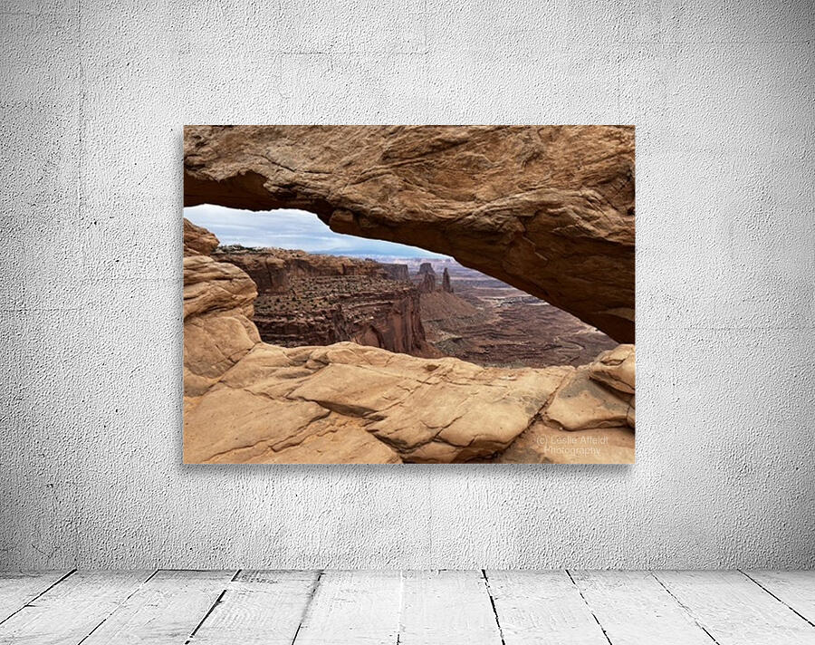 The land before time Wall Preview