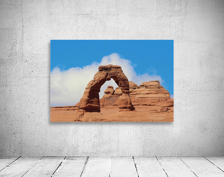 Delicate Arch Wall Preview