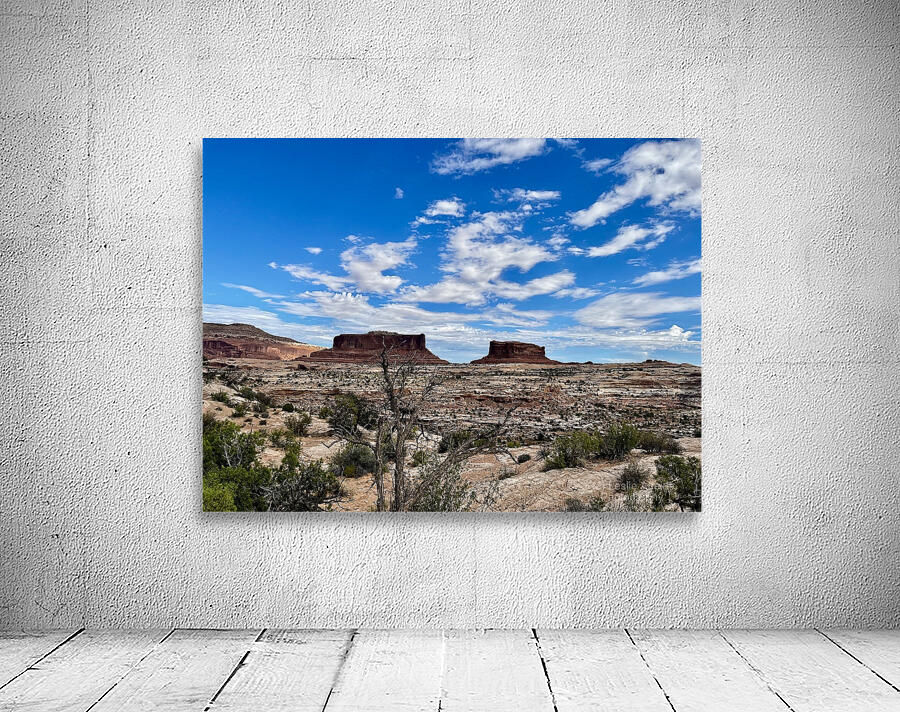 Monitor & Merrimack Rock - 2 Wall Preview