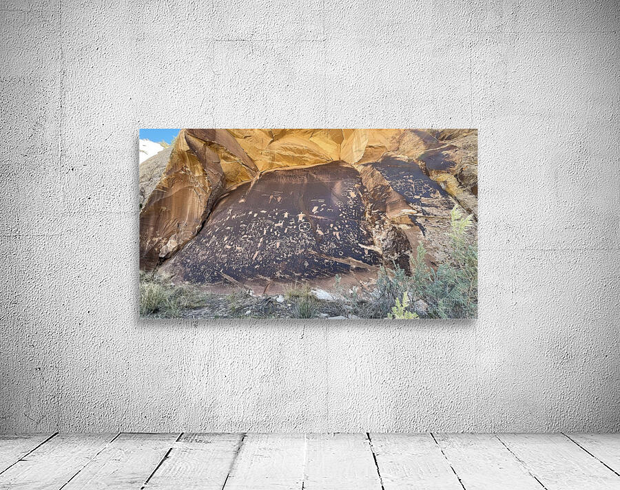 Newspaper Rock Wall Preview