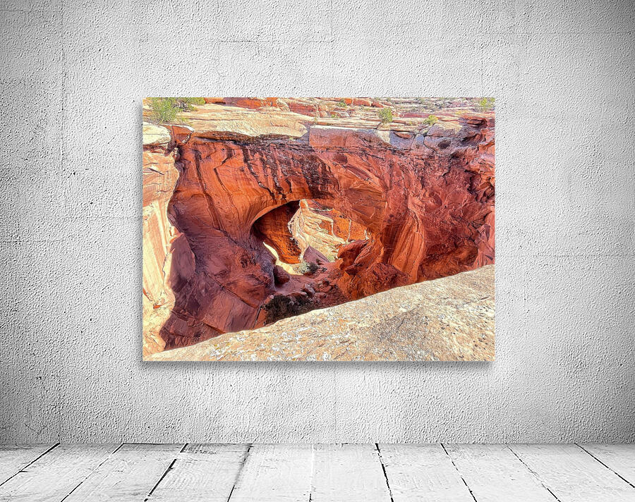 Natural Bridges - 1 Wall Preview