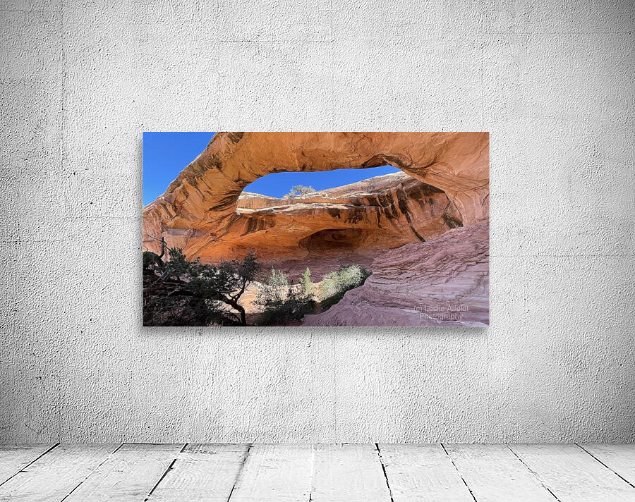 Gemini Twins Wall Preview