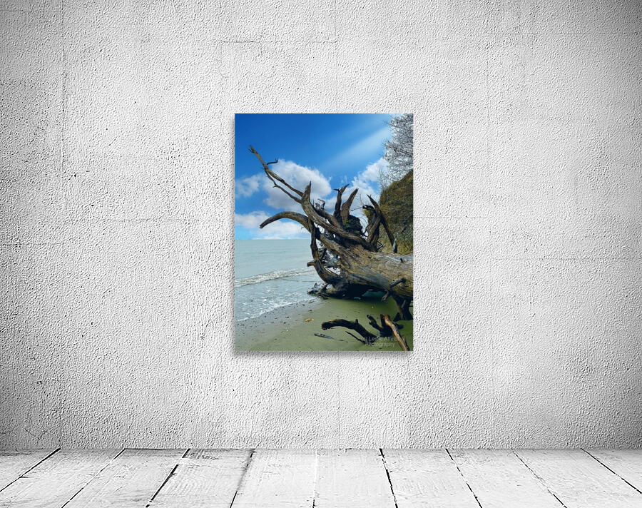 IMG 1646 Wall Preview