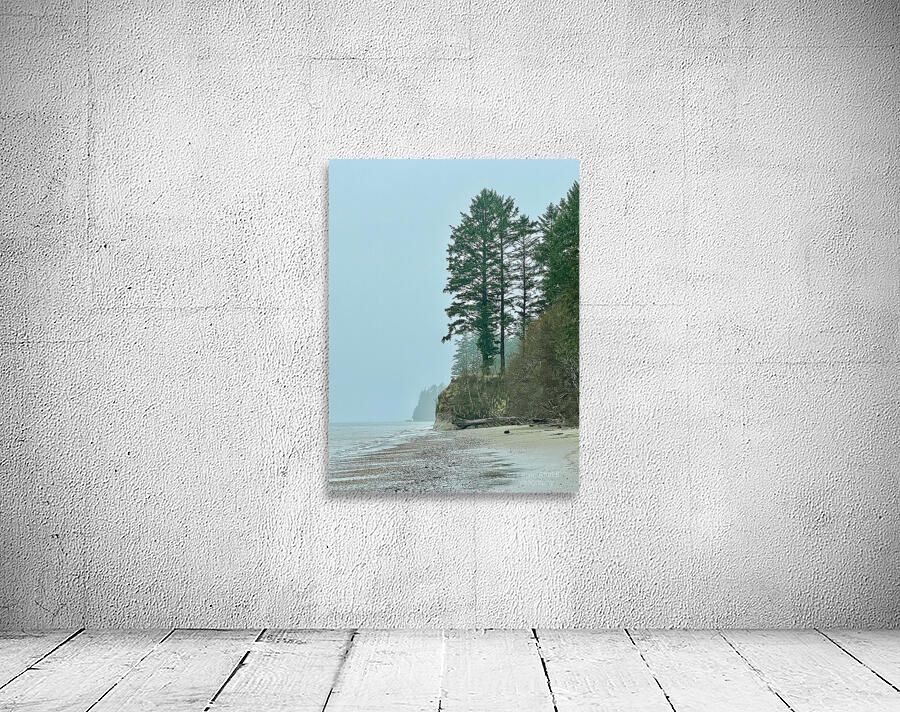 IMG 1639 Wall Preview