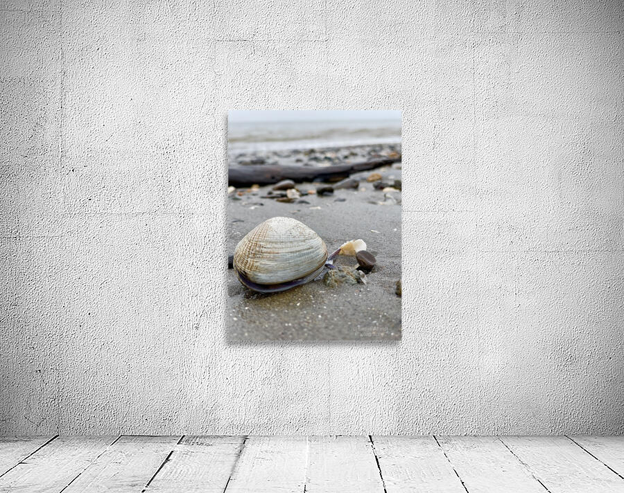 Keep Clam Wall Preview