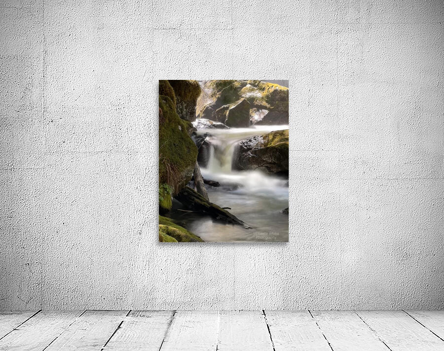 Forest Flow -2  Wall Preview