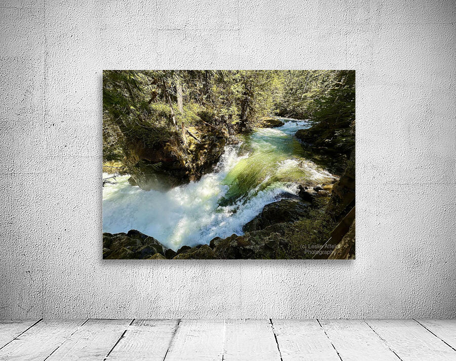 IMG 2459 Wall Preview