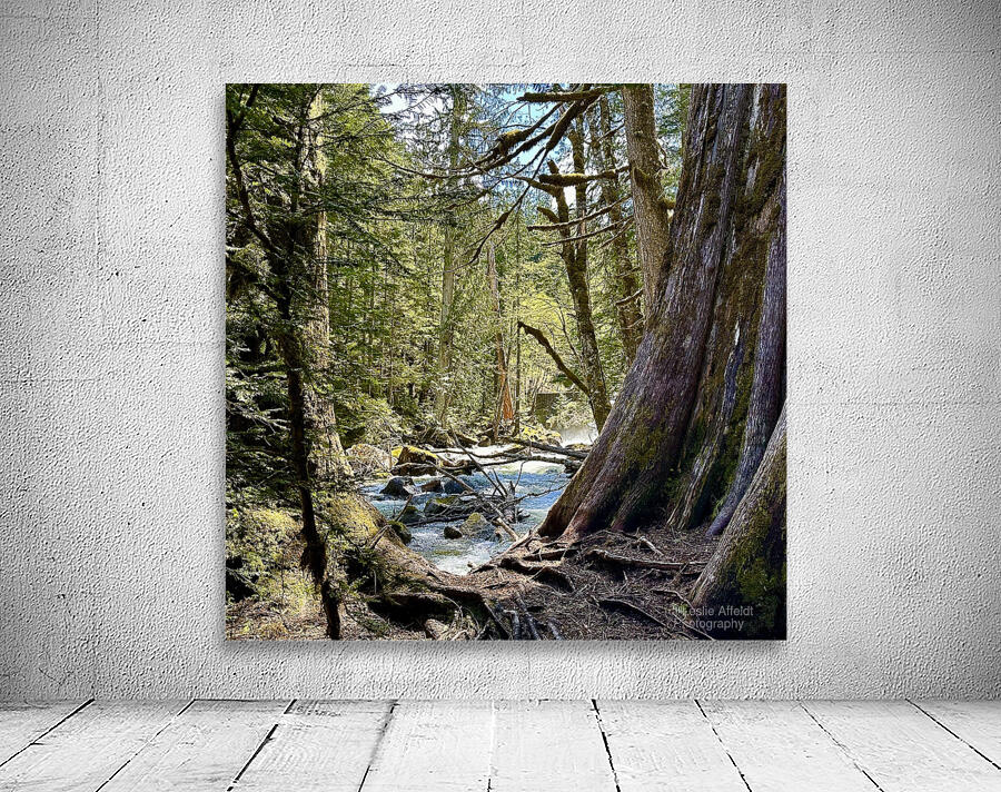 IMG 2451 Wall Preview