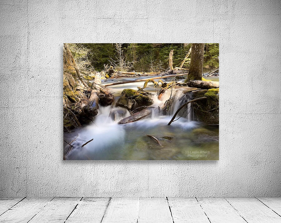 IMG 2445 Wall Preview