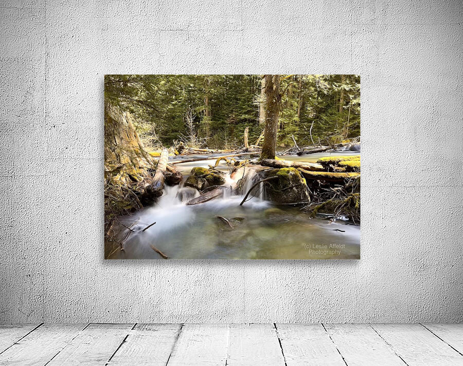 IMG 2442 Wall Preview