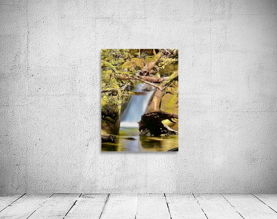 IMG 2510 Wall Preview