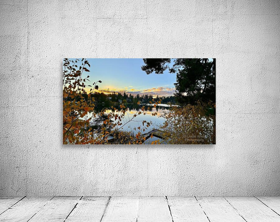 Star Lake Washington - 2 Wall Preview