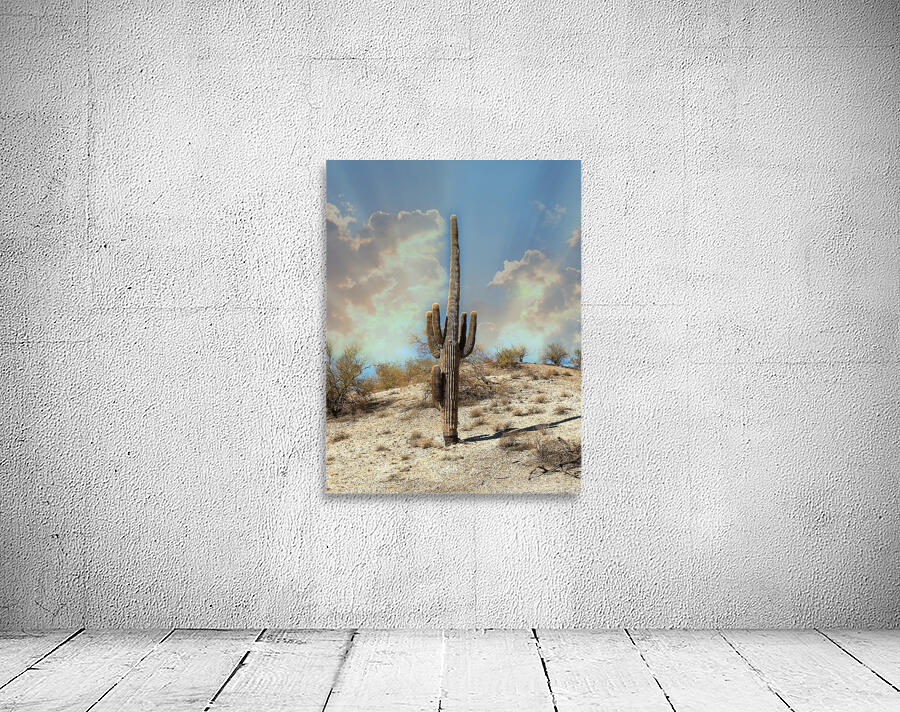 Saguaro Dream Wall Preview